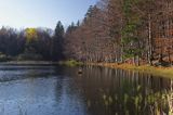 Jeziorko Duszatyńskie rezerwat Zwiezło Ciśniańsko-Wetliński Park Krajobrazowy Bieszczady