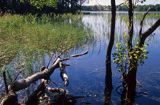 jezioro Hańcza - Suwalski Park Krajobrazowy