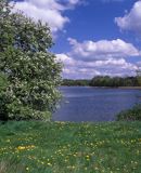 jezioro Ińsko Iński Park Krajobrazowy, Pomorze Zachodnie