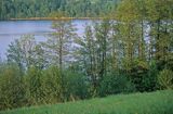 Jezioro Rospuda