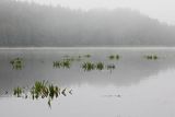 Jezioro Tejsowo, Mazury