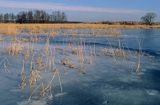 Jezioro Tuchlin zimą