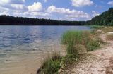 jezioro lobeliowe Wielkie Gacno Park Narodowy Bory Tucholskie