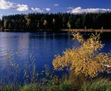 jezioro Wielkie Krzywce, Park Narodowy Bory Tucholskie, Kaszuby