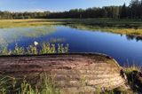 pejzaż przy porcie na wyspie Junkon, Archipelag Lulea, Szwecja, Zatoka Botnicka