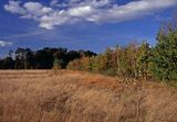 Kampinoski Park Narodowy, Kampinos, Mazowsze