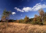 Kampinoski Park Narodowy, Kampinos, Mazowsze