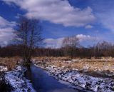 w Puszczy Kampinoskiej, Kampinoski Park Narodowy