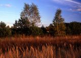 jesienne łąki, Kampinoski Park Narodowy