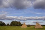 Kampinoski Park Narodowy, pejzaż mazowiecki, łąka z tradycyjnymi kopkami siana