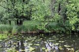 kanał Ostródzki, część kanału Ostródzko-Elbląskiego, Mazury