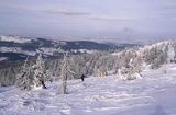 na Hali Szrenickiej Karkonoski Park Narodowy