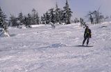 w Karkonoszach Karkonoski Park Narodowy