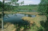 Śródleśne jezioro na Kaszubach