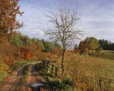 Droga koło Piaszna na Kaszubach, Kaszuby, Polska