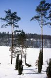 zima na Kaszubach, jezioro Kamieniczno