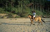 kobieta na koniu na plaży, Międzyzdroje