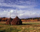 kopki siana w Mazowieckim Parku Krajobrazowym