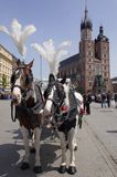 Cracow Rynek Starego Miasta, dorożka, konie i kościół Mariacki