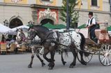 Kraków, Rynek Starego Miasta, dorożka