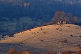 Krywe ruiny cerkwi, Park Krajobrazowy Doliny Sanu, Bieszczady