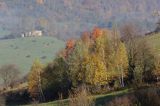 Krywe ruiny cerkwi, Park Krajobrazowy Doliny Sanu, Bieszczady