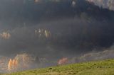 Park Krajobrazowy Doliny Sanu, Bieszczady