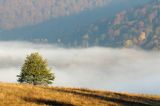 Park Krajobrazowy Doliny Sanu, Bieszczady