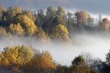 Park Krajobrazowy Doliny Sanu, Bieszczady