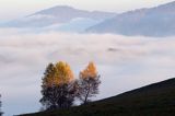 Park Krajobrazowy Doliny Sanu, Bieszczady