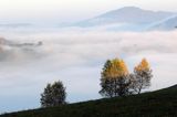 Park Krajobrazowy Doliny Sanu, Bieszczady