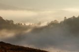Poranna mgła, Park Krajobrazowy Doliny Sanu, Bieszczady