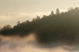Poranna mgła, Park Krajobrazowy Doliny Sanu, Bieszczady