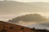 Park Krajobrazowy Doliny Sanu, Bieszczady