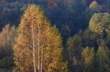 Park Krajobrazowy Doliny Sanu, Bieszczady