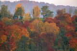 Park Krajobrazowy Doliny Sanu, Bieszczady