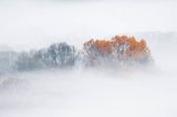 Jesień na Krywem, Bieszczady