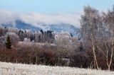 szadzie, Krywka, Bieszczady