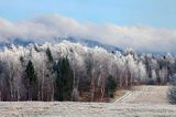 szadzie, Krywka, Bieszczady