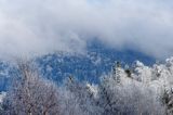 szadzie, Krywka, Bieszczady