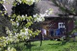 chata we wsi Krzywe, Pogórze Dynowskie