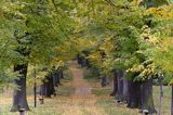 Książ, park