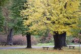 Książ, park