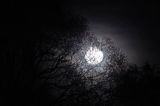Księżycowa noc