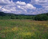 Łąka w Rajskiem, Bieszczady