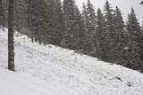 zima, lawinisko w Tatrach, po zejściu lawiny, Tatrzański Park Narodowy Murań, widok z Murzasichla