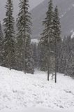 zima, lawinisko w Tatrach, po zejściu lawiny, Tatrzański Park Narodowy Murań, widok z Murzasichla