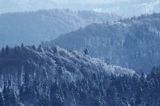 Zima, widok z Połoniny Wetlińskiej, Bieszczady