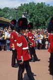 Parada przed Buckingham Palace, Londyn, Anglia