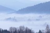 Świtowe mgły w okolicy Lutowisk, Bieszczady